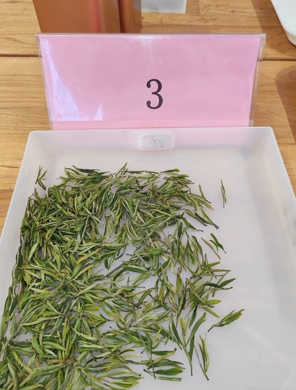 关于2023 年首届崂山龙须斗茶大赛“十大龙须”品鉴会圆满结束！的最新消息(5)