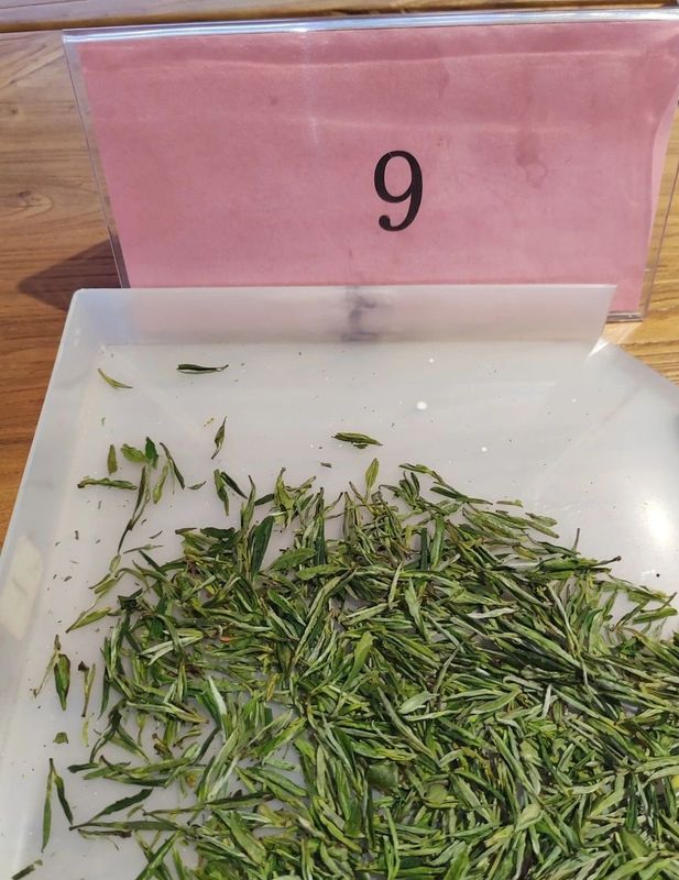 关于2023 年首届崂山龙须斗茶大赛“十大龙须”品鉴会圆满结束！的最新消息(11)