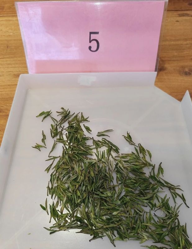 关于2023 年首届崂山龙须斗茶大赛“十大龙须”品鉴会圆满结束！的最新消息(7)