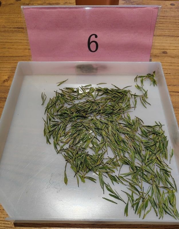 关于2023 年首届崂山龙须斗茶大赛“十大龙须”品鉴会圆满结束！的最新消息(8)