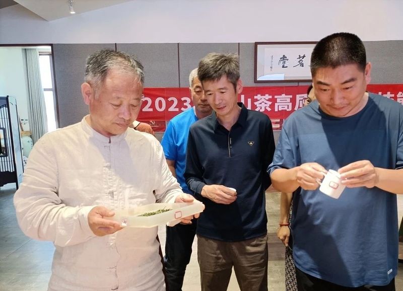 关于2023 年首届崂山龙须斗茶大赛“十大龙须”品鉴会圆满结束！的最新消息(1)