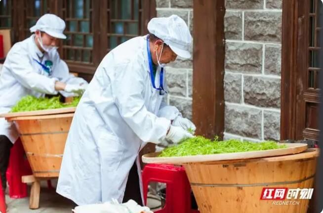 有关于永定区举行第五届职业技能大赛开幕式暨莓茶手工制茶决赛的最新消息(2)