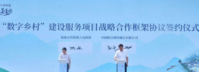 关于向云端~山那边~今天的管阳茶香四溢的消息(1)