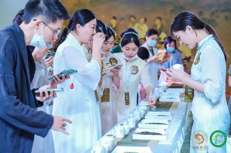 有关于青春深圳·茶悦生活 首届青年国际茶文化生活节即将起航的信息(5)