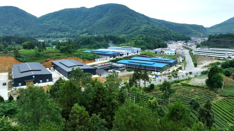 关于湄潭:满地翠芽绿 处处夏茶香的新闻(4)