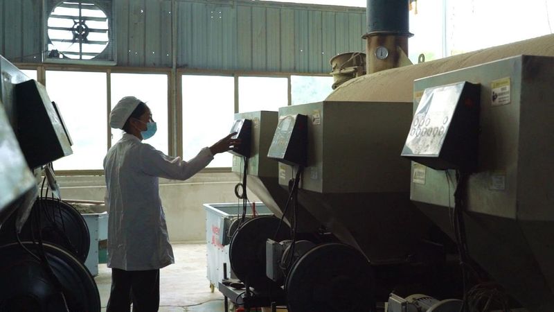 关于湄潭:满地翠芽绿 处处夏茶香的新闻(2)