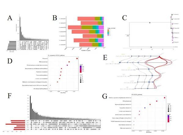 有关于云南省重大科技专项助推云茶产业高质量发展成效显著的相关内容