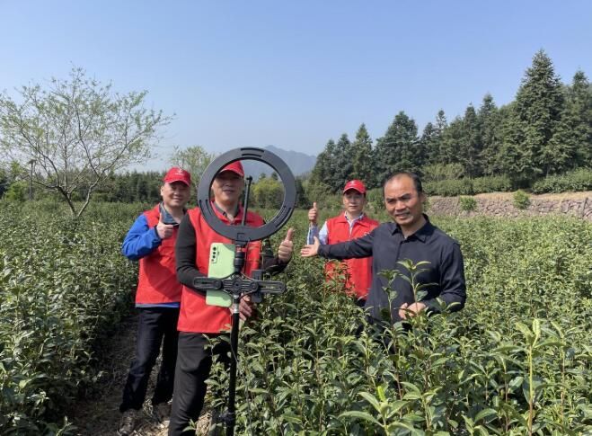 关于浙江常山“茶状元”的“破圈”之旅的相关内容(2)