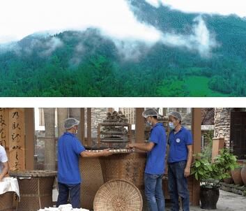 有关于做好“土特产”文章:茶香飘四海的消息(1)