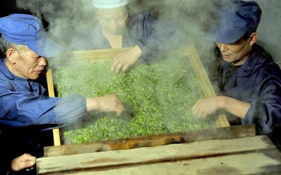 有关于差点失传的茶叶，是如何帮助湖北山区脱贫的？的内容(5)
