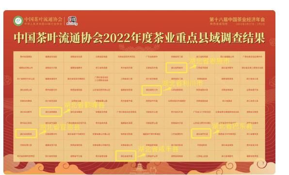 有关于差点失传的茶叶，是如何帮助湖北山区脱贫的？的内容(6)