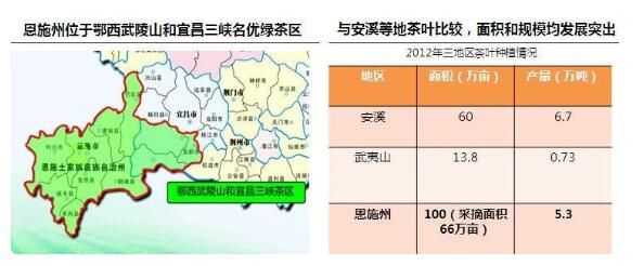 有关于差点失传的茶叶，是如何帮助湖北山区脱贫的？的内容(4)
