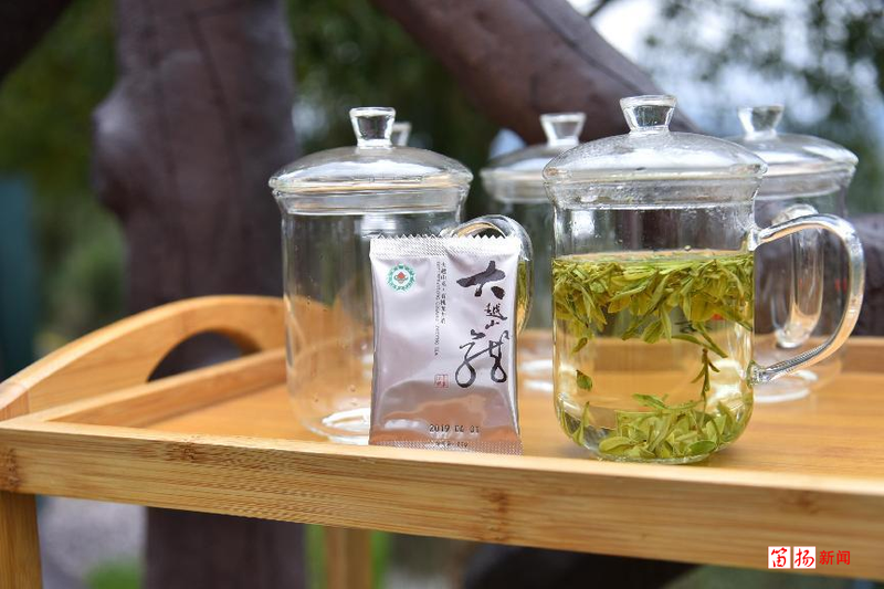 有关于柯桥区王坛镇：茶香飘千里 乡贤助振兴的信息(5)