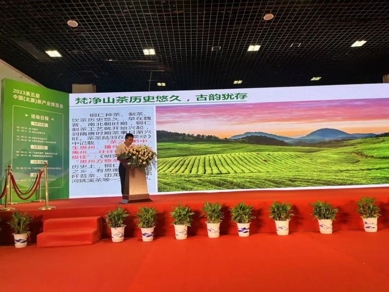 关于铜仁生态茶产业山西招商推介活动举行的最新消息(3)