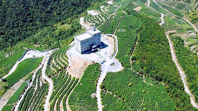 有关于管阳唱响一片叶子的“共富曲”的相关信息(2)