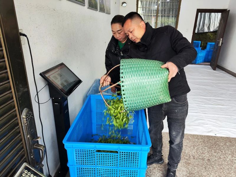 有关于管阳唱响一片叶子的“共富曲”的相关信息(6)