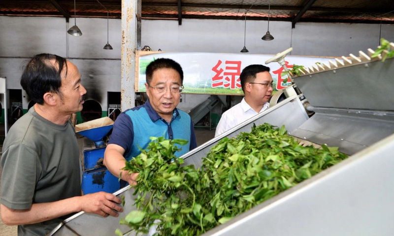 有关于冯云波：延长加粗产业链条 推动茶叶产业高质量发展的资讯(2)