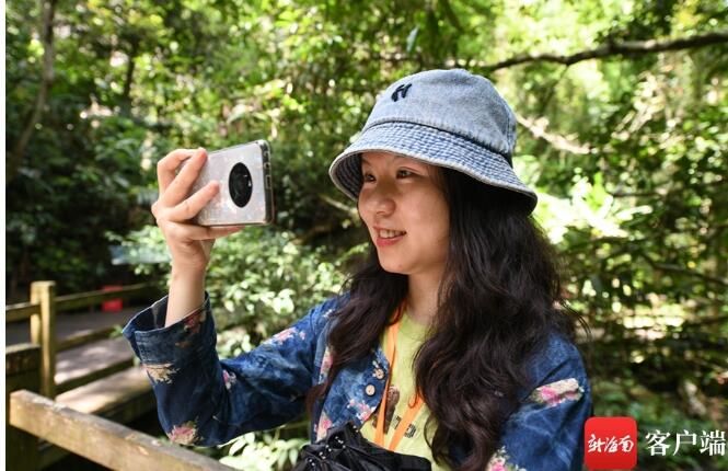 关于媒体人在五指山体验采茶、炒茶的相关信息(10)