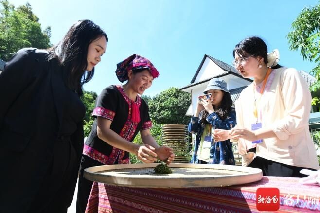 关于媒体人在五指山体验采茶、炒茶的相关信息(7)