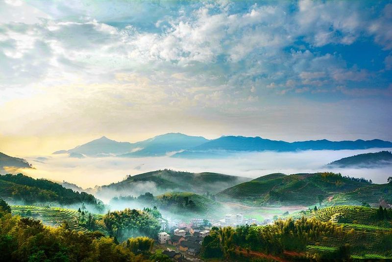 有关于福建周宁:“天然空调城”夏日茶乡休闲度假胜地的信息(1)