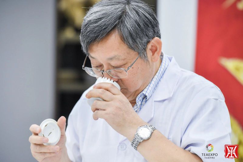 关于中茶杯第十三届鼎承茶王赛·春季赛成绩新鲜出炉!的相关内容(15)