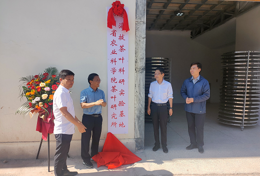 有关于聚力茶叶产业发展 激活乡村茶产人才的资讯