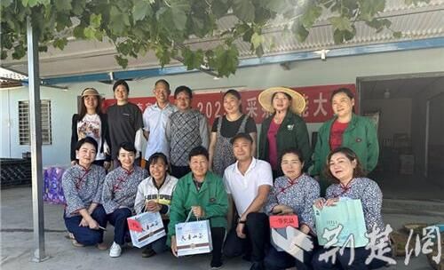 关于荆门市马河镇成功举办标准化茶叶采摘技能大赛的资讯(3)