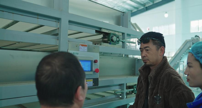 有关于走进西藏海拔最高的茶场——林芝易贡茶场的消息(2)