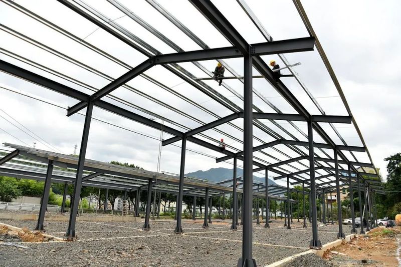 关于铁山镇：立足闽浙边境地域优势 打造茶产业强镇的最新消息(1)