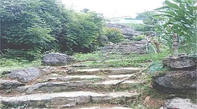 关于打造“欧标园” 湖北宜都茶园向生态低碳迈进的最新消息(3)