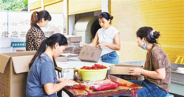 关于千年老鹰茶踏上茶文旅融合发展路的消息