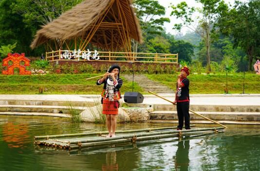 有关于海南毛纳村：茶香飘满致富路的相关内容(1)