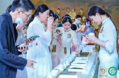 有关于2023凤凰单丛茶文化节•粤港澳大湾区即将盛大开幕！的相关内容(8)