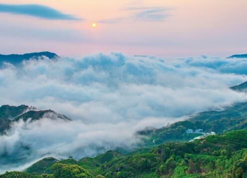 有关于2023凤凰单丛茶文化节•粤港澳大湾区即将盛大开幕！的相关内容(2)