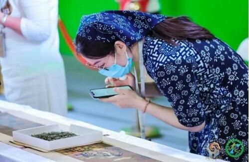 有关于2023凤凰单丛茶文化节•粤港澳大湾区即将盛大开幕！的相关内容(6)