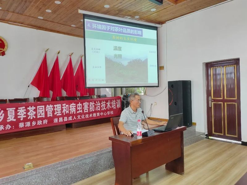 关于遂昌开展夏茶生产技术培训为茶农“清盲点、避雷区”的最新消息