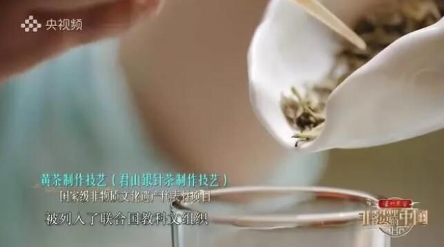 关于岳阳“会跳舞”的茶，登陆央视圈粉全国！的信息(1)