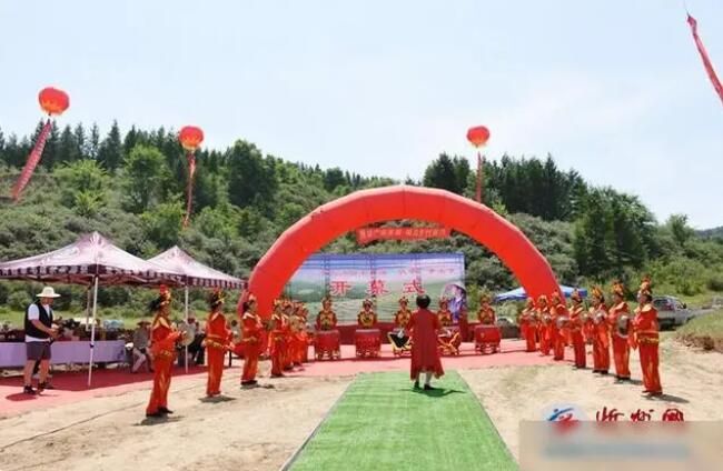 关于“管涔仙草”毛建茶首届“伏茶”开采节启幕的信息