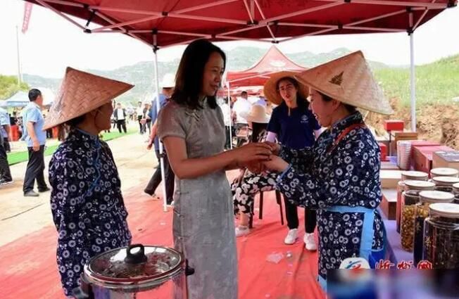 关于“管涔仙草”毛建茶首届“伏茶”开采节启幕的信息(1)