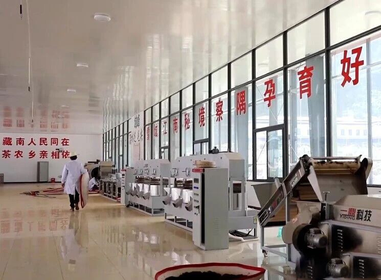 有关于察隅：茶产业引领乡村振兴的内容(4)