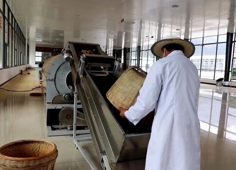 有关于察隅：茶产业引领乡村振兴的内容(3)