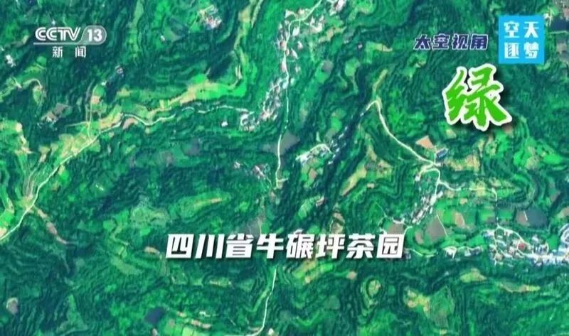 关于CCTV13《共同关注》——卫星视角看祖国多彩大地 俯瞰名山区牛碾坪茶园风光的新闻