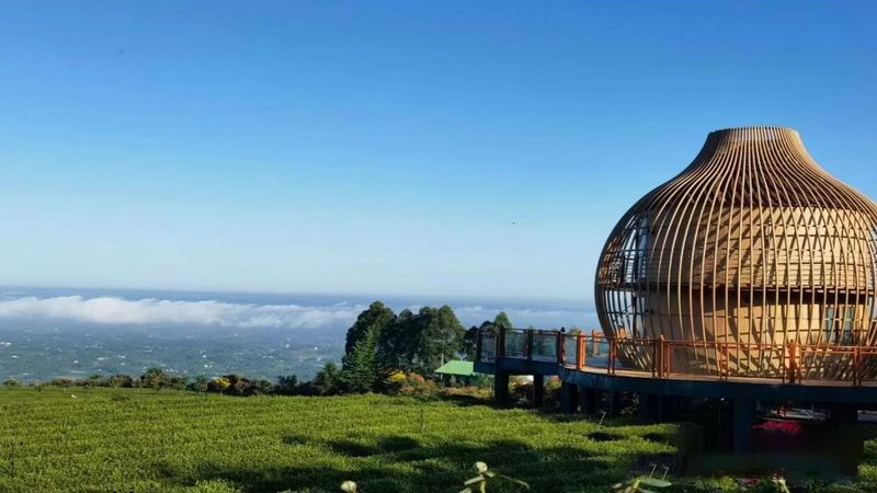 有关于重庆永川区：来“中国最具幸福感城市”体验休闲养生之旅的信息(16)