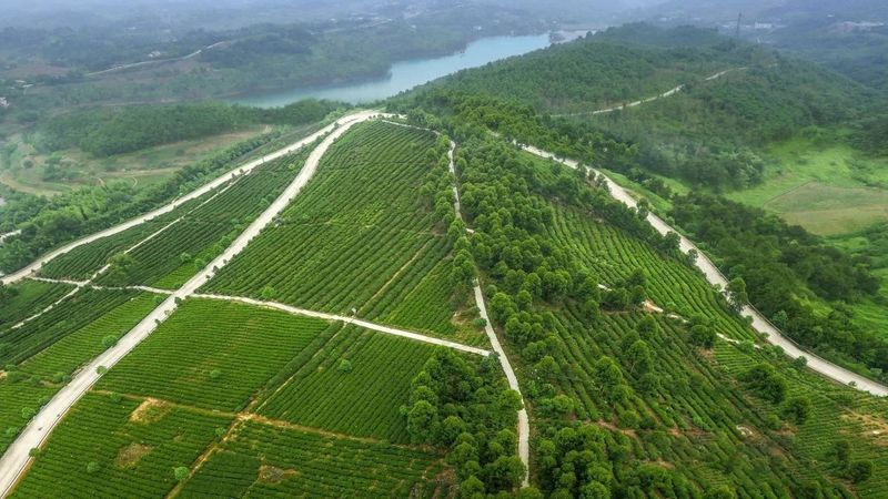 有关于重庆永川区：来“中国最具幸福感城市”体验休闲养生之旅的信息(1)