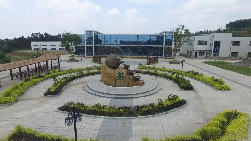 有关于重庆永川区：来“中国最具幸福感城市”体验休闲养生之旅的信息(14)