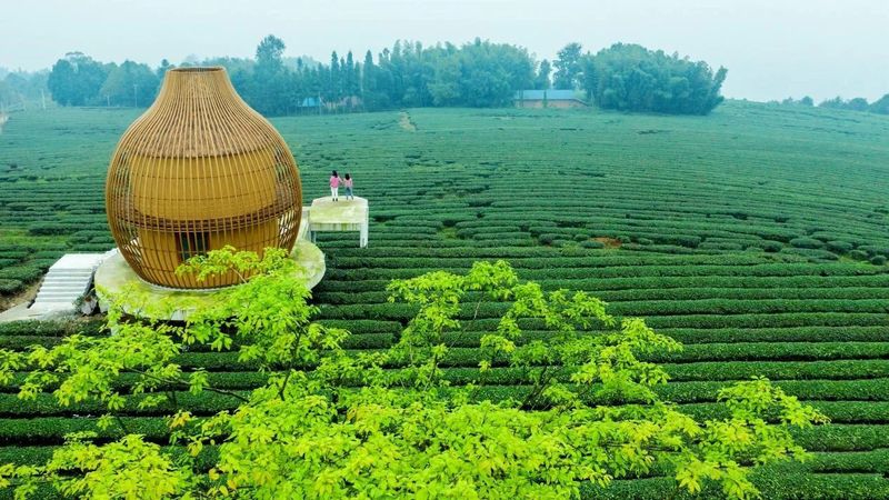 有关于重庆永川区：来“中国最具幸福感城市”体验休闲养生之旅的信息(15)