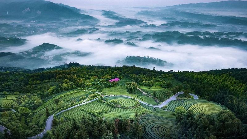 有关于重庆永川区：来“中国最具幸福感城市”体验休闲养生之旅的信息(10)