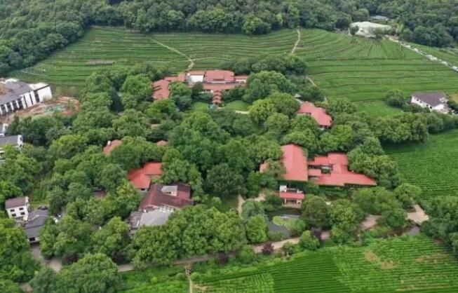 有关于品中国好茶 观传统茶俗的消息