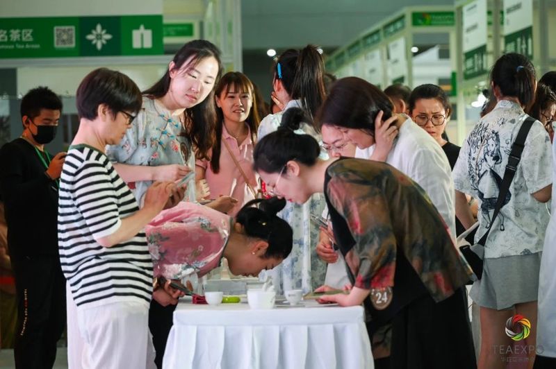 有关于 “花香六堡”杯鼎承品茶师·首届燕赵六堡茶斗茶大赛圆满收官！的消息(10)