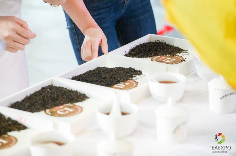 有关于 “花香六堡”杯鼎承品茶师·首届燕赵六堡茶斗茶大赛圆满收官！的消息(13)